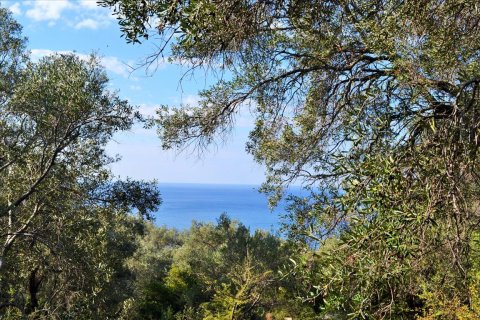 7606m² Land en Corfu, Greece No. 56415 16