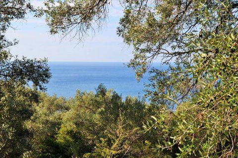 7606m² Land in Corfu, Greece No. 56415 1