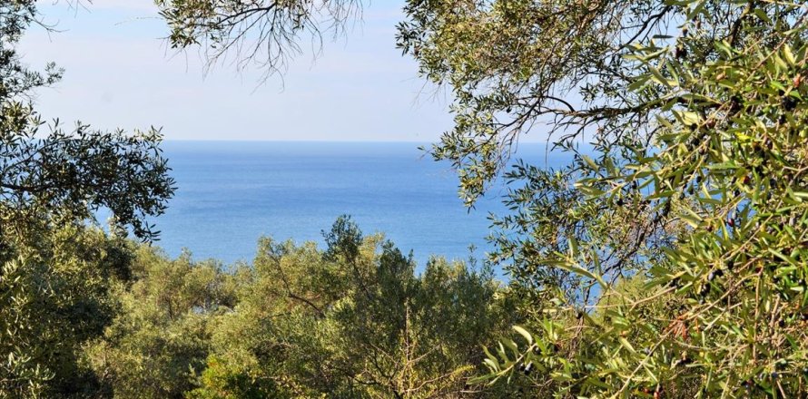 7606m² Land in Corfu, Greece No. 56415