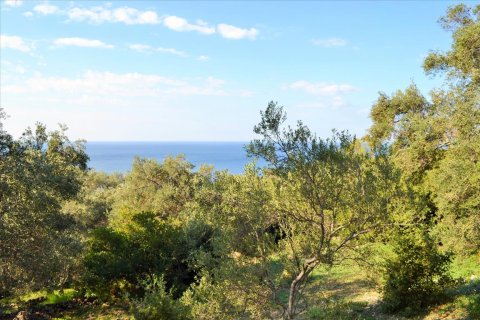 7606m² Land in Corfu, Greece No. 56415 18