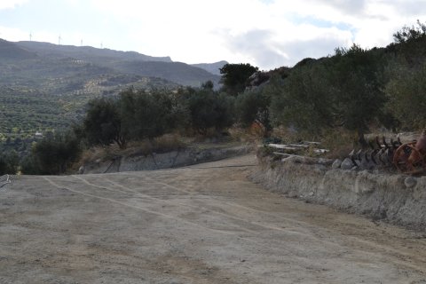 23000m² Land in Sitia, Greece No. 58406 6