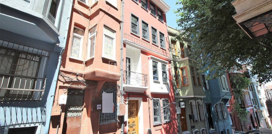 4+5 Villa in Istanbul, Turkey No. 14239