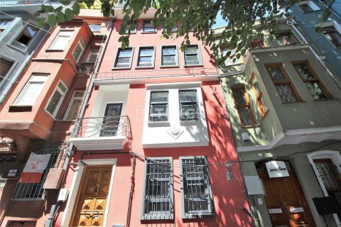 4+5 Villa en Istanbul, Turkey No. 14239 11