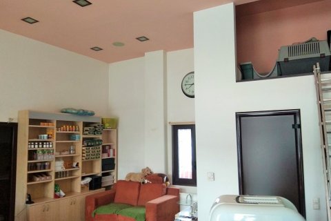 455m² Bâtiment à Kalamaria, Greece No. 57498 8