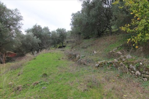 9500m² Land in Corfu, Greece No. 57589 2