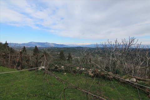 9500m² Land in Corfu, Greece No. 57589 10