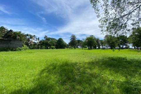 Land en Canggu, Indonesia No. 22824 3