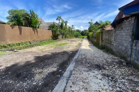 Land en Canggu, Indonesia No. 22824 10