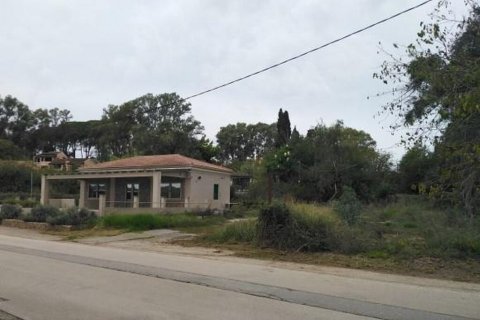 4892m² Land à Euboea, Greece No. 55658 3