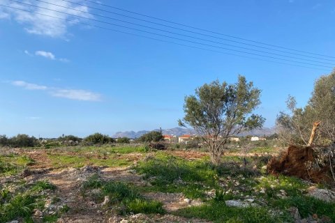 5963m² Land en Chania, Greece No. 55660 4