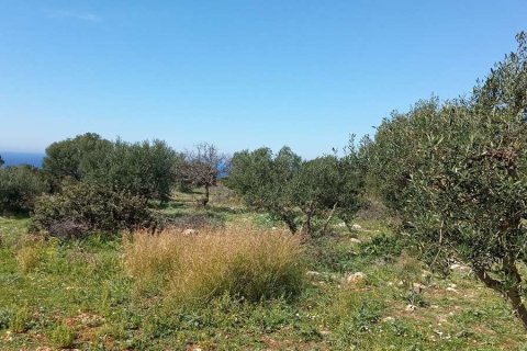 Land in Zakynthos, Greece No. 69589 13