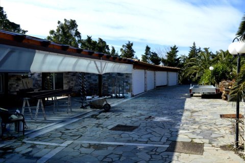 1600m² Hotel en Anavyssos, Greece No. 58252 7