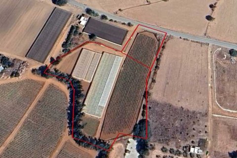 9700m² Land en Anarita, Cyprus No. 75188 1