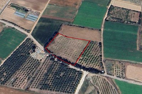 7913m² Land en Mandria, Cyprus No. 75191 1