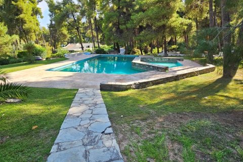 2 chambres Villa à Chalkidiki, Greece No. 55406 4