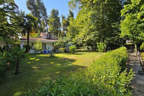 2 dormitorios Villa en Chalkidiki, Greece No. 55406 13