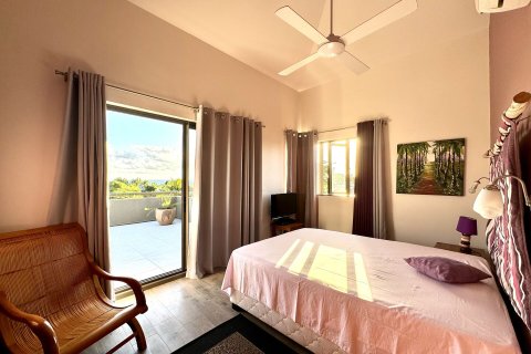 3 bedrooms Apartment in Riviere Noire, Mauritius No. 60773 26