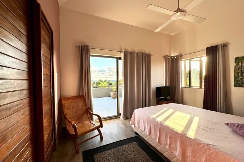 3 bedrooms Apartment in Riviere Noire, Mauritius No. 60773 13