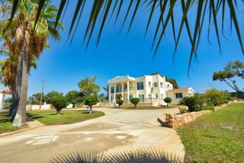 5 bedrooms Villa in Ayia Napa, Cyprus No. 36582 14