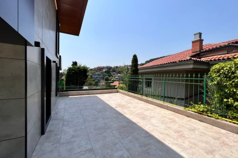 9+1 Villa en Istanbul, Turkey No. 14826 3