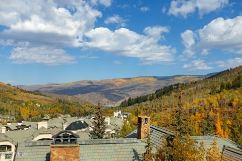 4 chambres Copropriété  à Beaver Creek, USA No. 62060 7