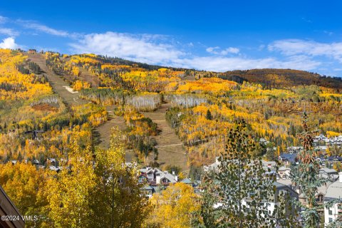 4 chambres Copropriété  à Beaver Creek, USA No. 62060 6