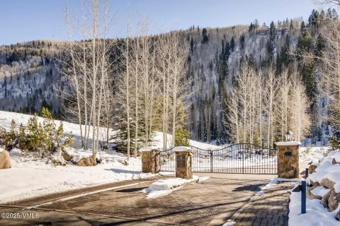 3 bedrooms Condo  in Vail, USA No. 62061 29