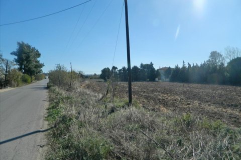 4500m² Land en Thermi, Greece No. 60607 5