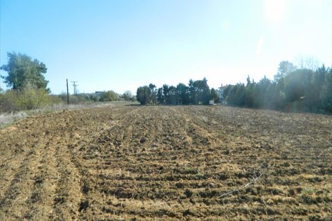 4500m² Land à Thermi, Greece No. 60607 4