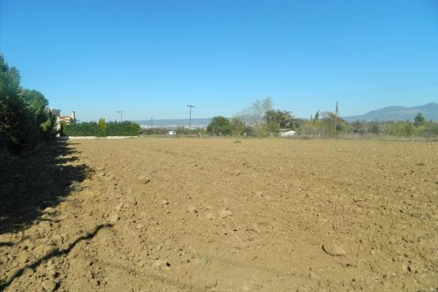 4500m² Land in Thermi, Greece No. 60607 1