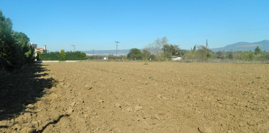 4500m² Land in Thermi, Greece No. 60607