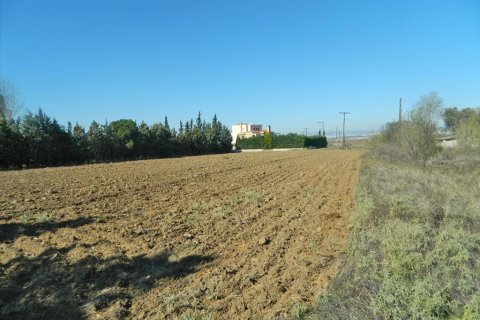 4500m² Land à Thermi, Greece No. 60607 3