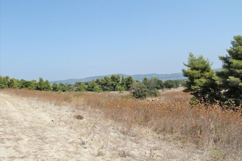 12000m² Land à Chalkidiki, Greece No. 60604 3