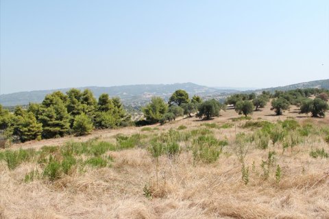 12000m² Land à Chalkidiki, Greece No. 60604 1