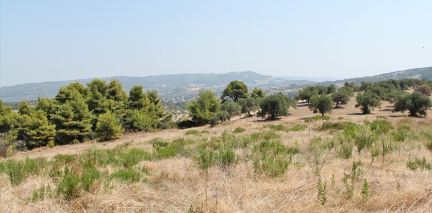 12000m² Land in Chalkidiki, Greece No. 60604