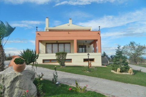 Villa in Thermaic Gulf, Greece No. 60608 28