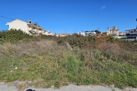 890m² Land à Chalkidiki, Greece No. 54955 2