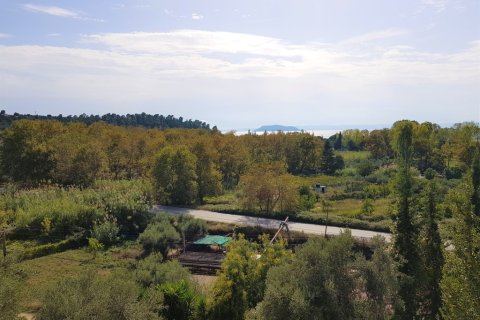 1 chambre House à Chalkidiki, Greece No. 56912 6