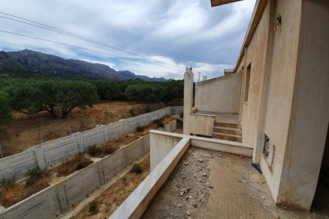 750m² Negocio en Ierapetra, Greece No. 56911 18