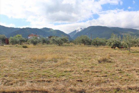 10300m² Land in Pieria, Greece No. 56908 2