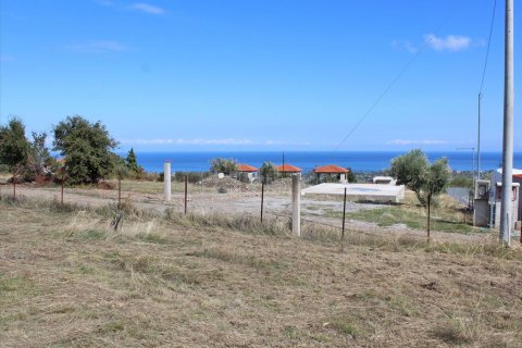 10300m² Land en Pieria, Greece No. 56908 1