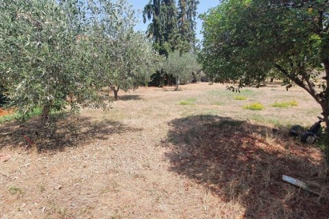 2000m² Land en Chalkidiki, Greece No. 56245 2