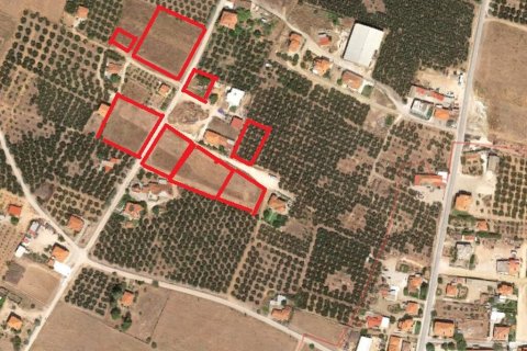 12300m² Land en Polygyros, Greece No. 56237 1