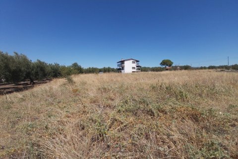 12300m² Land en Polygyros, Greece No. 56237 2