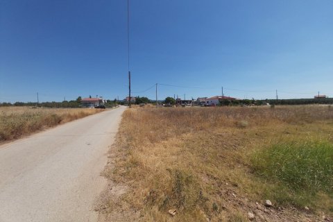 12300m² Land in Polygyros, Greece No. 56237 7