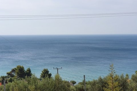 4200m² Land in Chalkidiki, Greece No. 56241 1