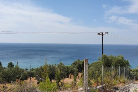 4200m² Land en Chalkidiki, Greece No. 56241 4