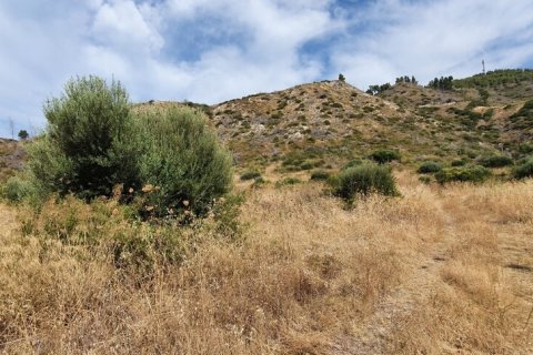 4200m² Land in Chalkidiki, Greece No. 56241 5