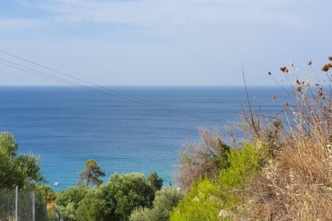 4200m² Land in Chalkidiki, Greece No. 56241 2