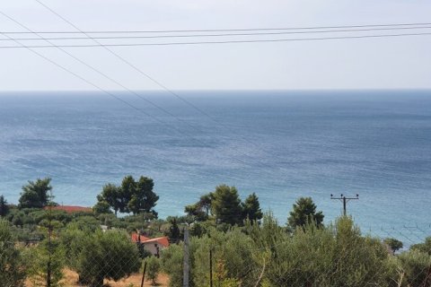 4200m² Land en Chalkidiki, Greece No. 56241 3